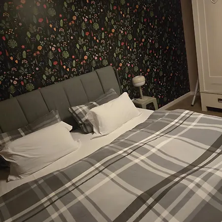 Schoene 2-raumwohnung Neu Appartement